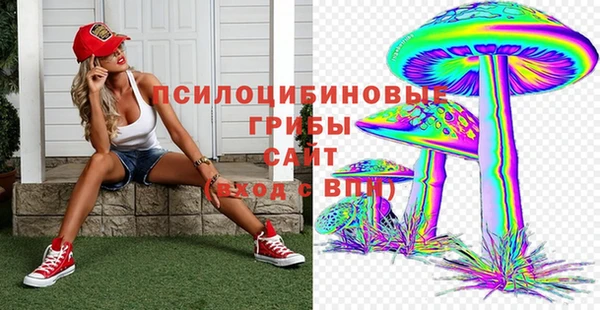 индика Гусиноозёрск