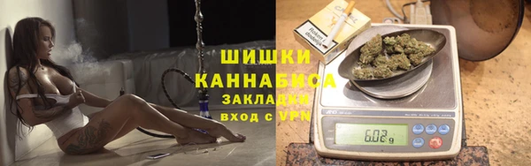 Альфа ПВП Осташков