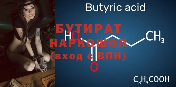 индика Гусиноозёрск