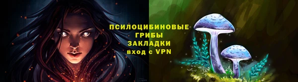 таблы Новозыбков