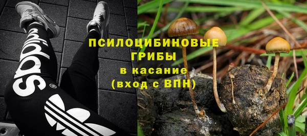 MDMA Premium VHQ Нязепетровск