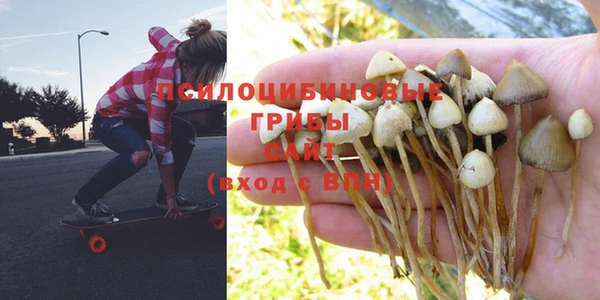 кокс Новодвинск