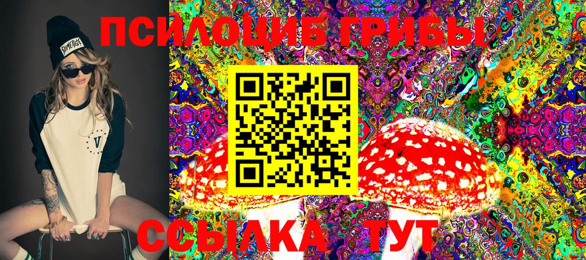 закладка  Вход с VPN  Кудымкар  Галлюциногенные грибы Psilocybe 