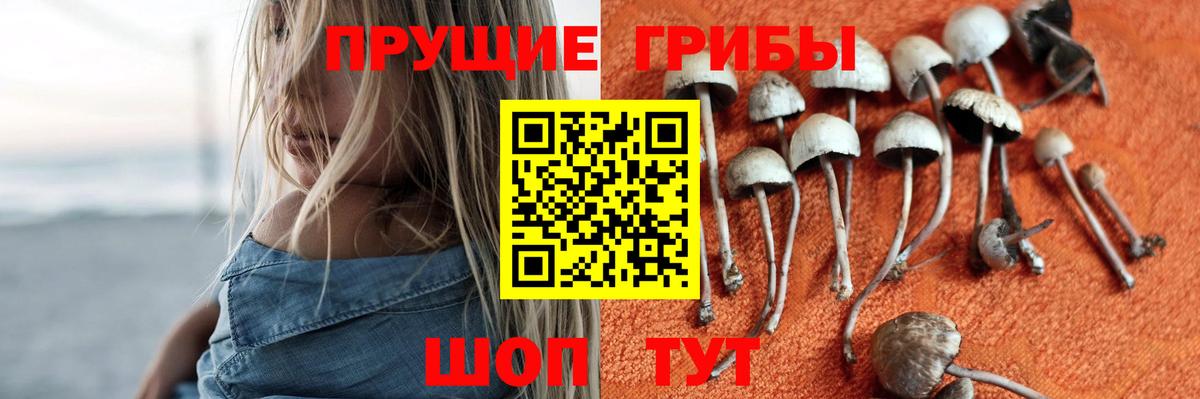 Галлюциногенные грибы прущие грибы Кудымкар